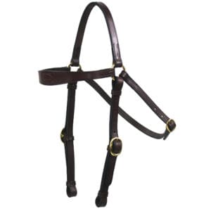 Dolan Shaped Barcoo Leather Bridle