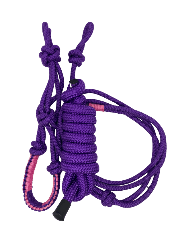 Rope Halter with Matching Lead