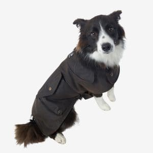 Oilskin Wool Lined Dog Coat