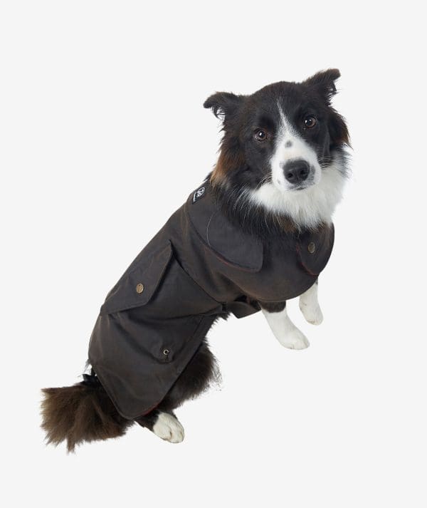 Oilskin Wool Lined Dog Coat