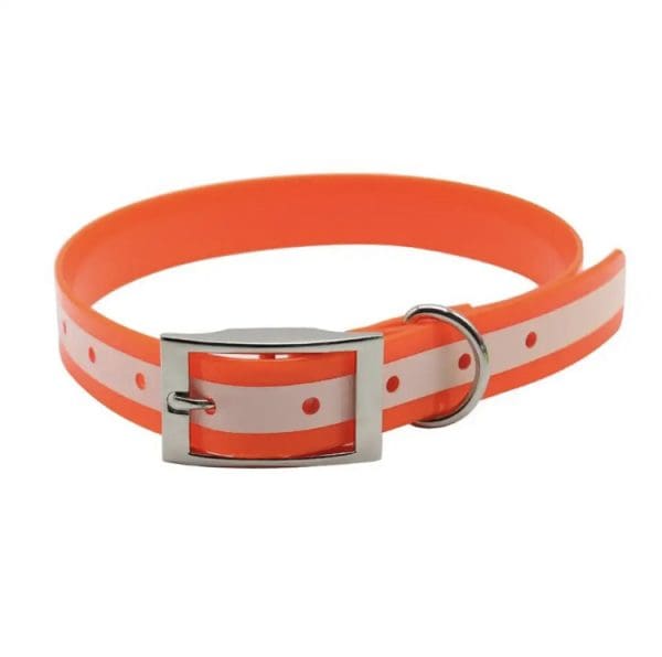 RFDC Reflective Flat Dog Collar with cinch buckle