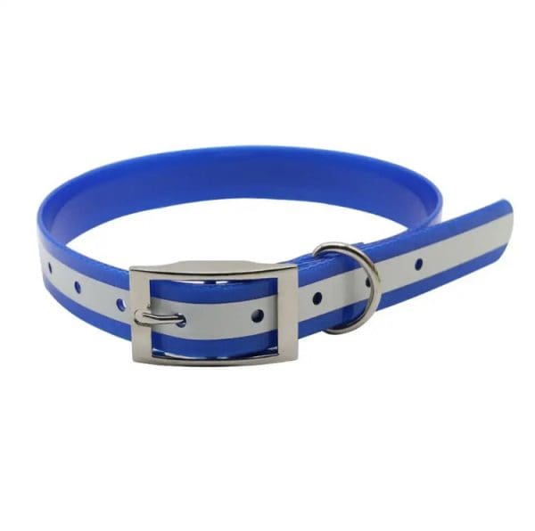 RFDC Reflective Flat Dog Collar with cinch buckle