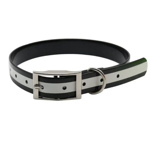 RFDC Reflective Flat Dog Collar with cinch buckle